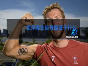 尼尔森在街舞圈属于什么级别