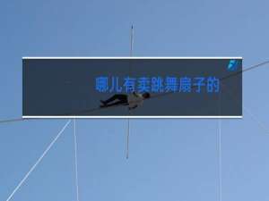 哪儿有卖跳舞扇子的