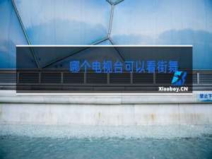 哪个电视台可以看街舞