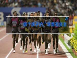 哪个牌子的广场舞视频音响效果好