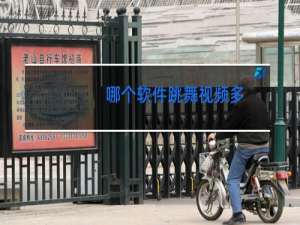 哪个软件跳舞视频多