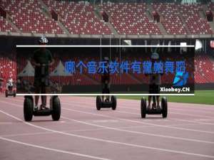 哪个音乐软件有黛帕舞蹈音乐