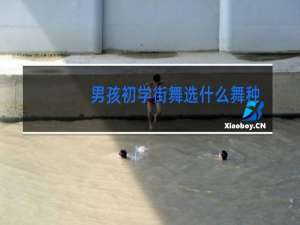 男孩初学街舞选什么舞种