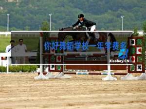 你好舞蹈学校一年学费多少钱呢