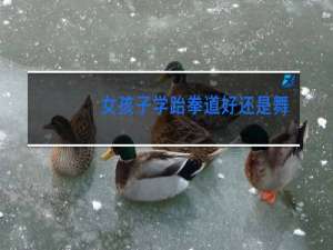 女孩子学跆拳道好还是舞蹈好