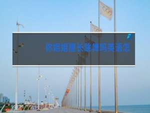 你姐姐擅长跳舞吗英语怎么说