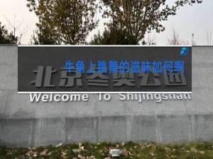 牛角上跳舞的滋味如何啊