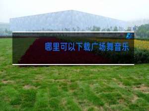 哪里可以下载广场舞音乐