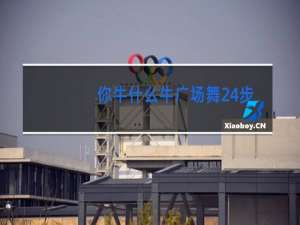 你牛什么牛广场舞24步