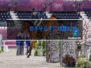 你牛什么牛广场舞32步