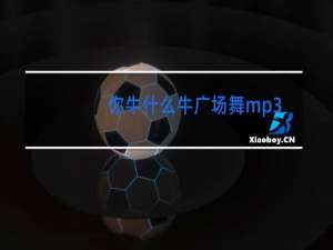 你牛什么牛广场舞mp3