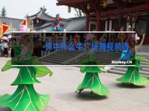 你牛什么牛广场舞视频香香