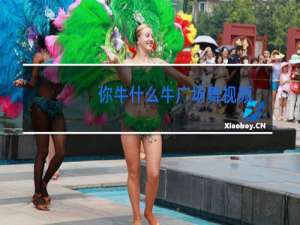 你牛什么牛广场舞视频