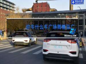 你牛什么牛广场舞糖豆广场舞