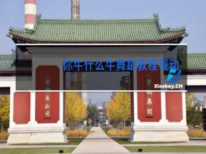 你牛什么牛舞蹈教程慢动作