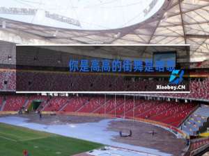 你是高高的街舞是啥歌