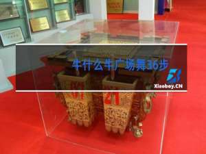 牛什么牛广场舞36步