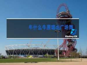 牛什么牛原唱dj广场舞