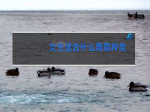 女生适合什么舞蹈种类