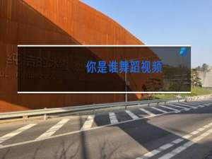 你是谁舞蹈视频