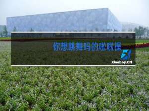 你想跳舞吗的啦啦操