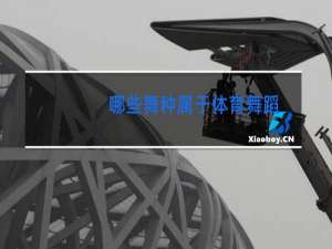 哪些舞种属于体育舞蹈
