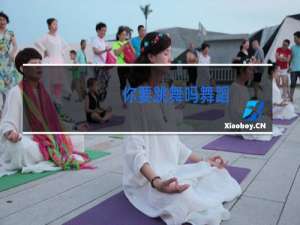 你要跳舞吗舞蹈