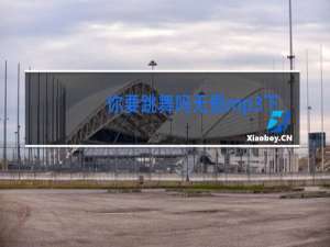 你要跳舞吗无损mp3下载