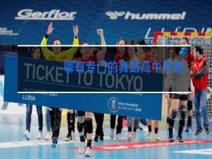 哪有专门的舞蹈高中学校