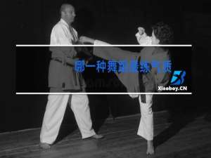 哪一种舞蹈最练气质