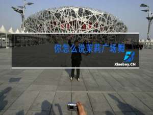 你怎么说茉莉广场舞