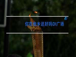 你在他乡还好吗DI广场舞