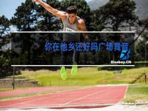 你在他乡还好吗广场舞音乐下载