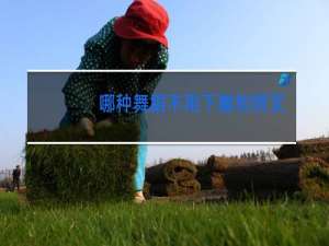 哪种舞蹈不用下腰和劈叉