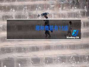 哪种舞蹈有15级