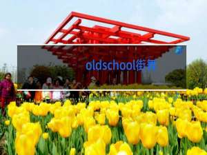 oldschool街舞包括哪些