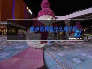 跑步跳舞毯什么牌子好