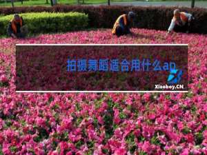 拍摄舞蹈适合用什么app