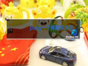 pubg一个舞蹈多少钱