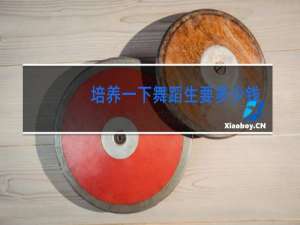 培养一下舞蹈生要多少钱