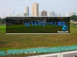 qq飞车可以一个人舞蹈吗