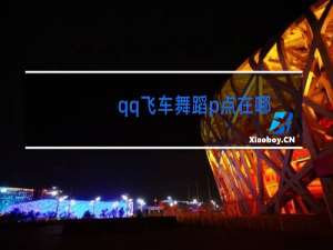 qq飞车舞蹈p点在哪
