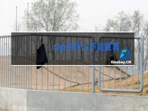 rap为什么不能跳舞