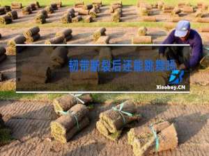 韧带断裂后还能跳舞吗