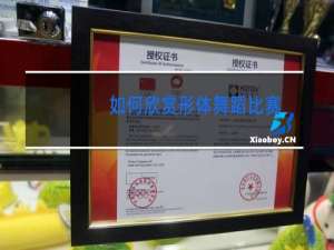 如何欣赏形体舞蹈比赛