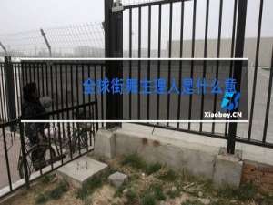 全球街舞主理人是什么意思