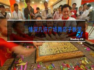 情深几许广场舞応子教学