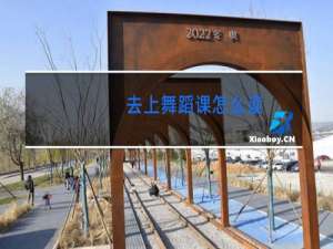 去上舞蹈课怎么读