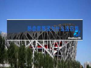 热血街舞团为什么选召集人