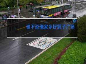 谁不说俺家乡好鸽子广场舞